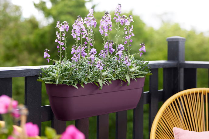 vibia campana easy hanger XL 58cm esdoorn paars